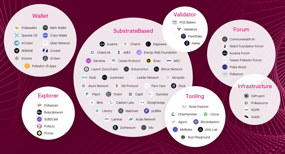 Hệ sinh thái Polkadot Ecosystem, DOT Token - Tìm hiểu tiền điện tử Crypto